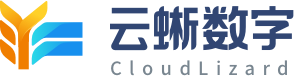 云蜥数字